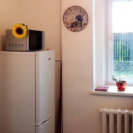 Apartment Cozy Studio Free Street Parking Further Center *