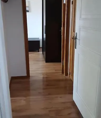 Apartment Cozy Studio Free Street Parking Further Center